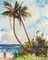 Fishing under Palms Poster Print by Richard A. Rodgers - Item # VARPDXR1108D